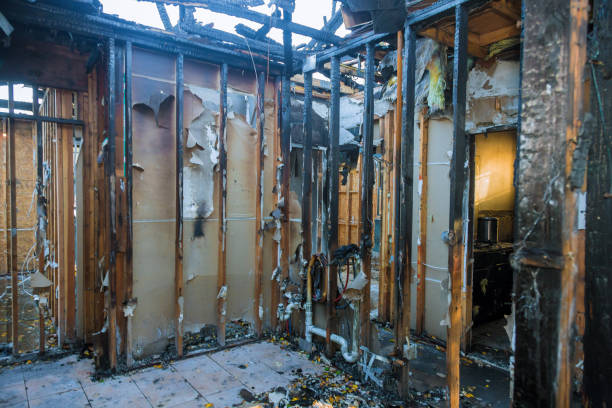Professional Fire Damage Removal technician working in Oreland, PA